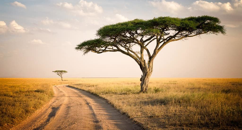 La Tanzanie assouplie ses formalités de voyage