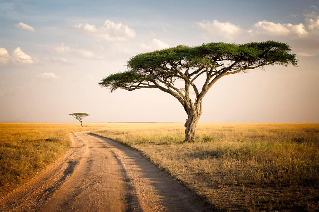 La Tanzanie assouplie ses formalités de voyage